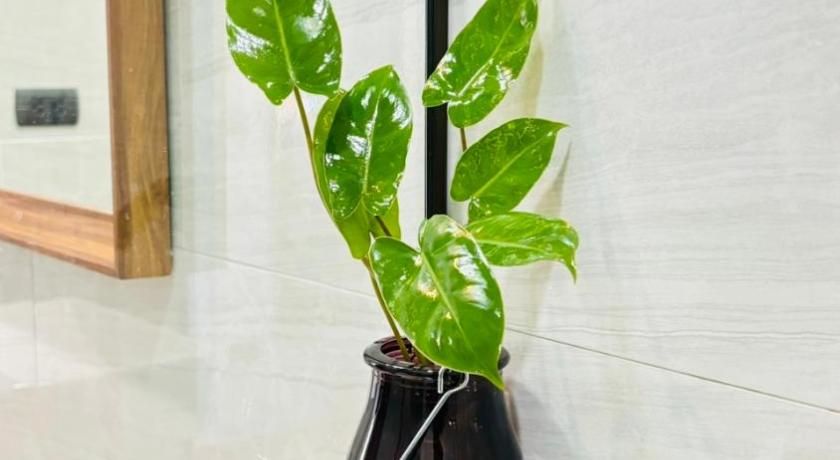 Canal Village Pakpra Phatthalung