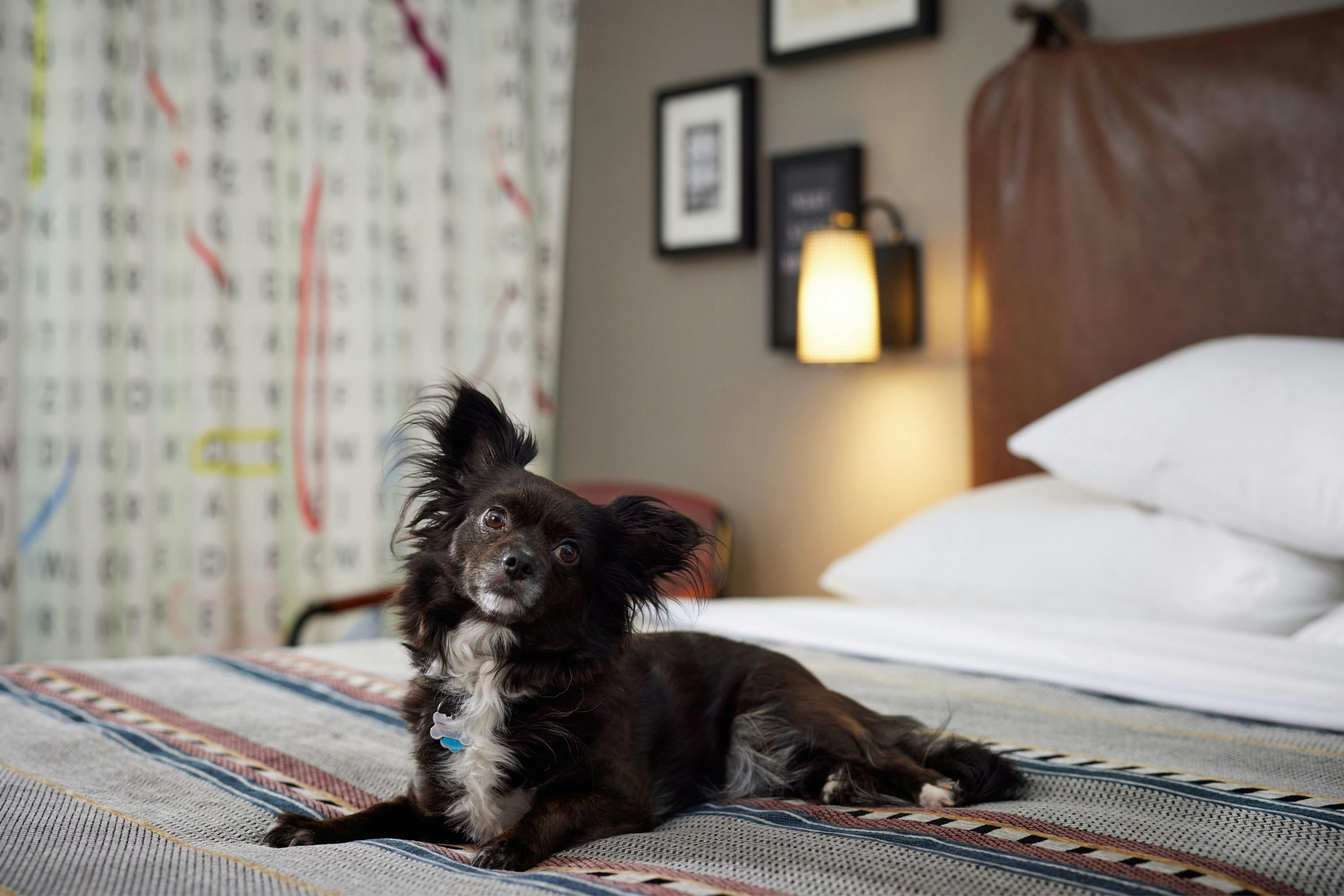 Moxy Austin - University