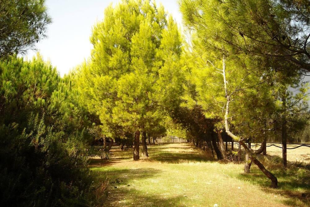 Villa Polimnia sleeps 8. There are 4 bedrooms, two bathrooms and terraces. Sicilië - Menfi visuel 4/5 Villa Polimnia sleeps 8. There are 4 bedrooms, two bathrooms and terraces. Sicilië - Menfi visuel 4/5