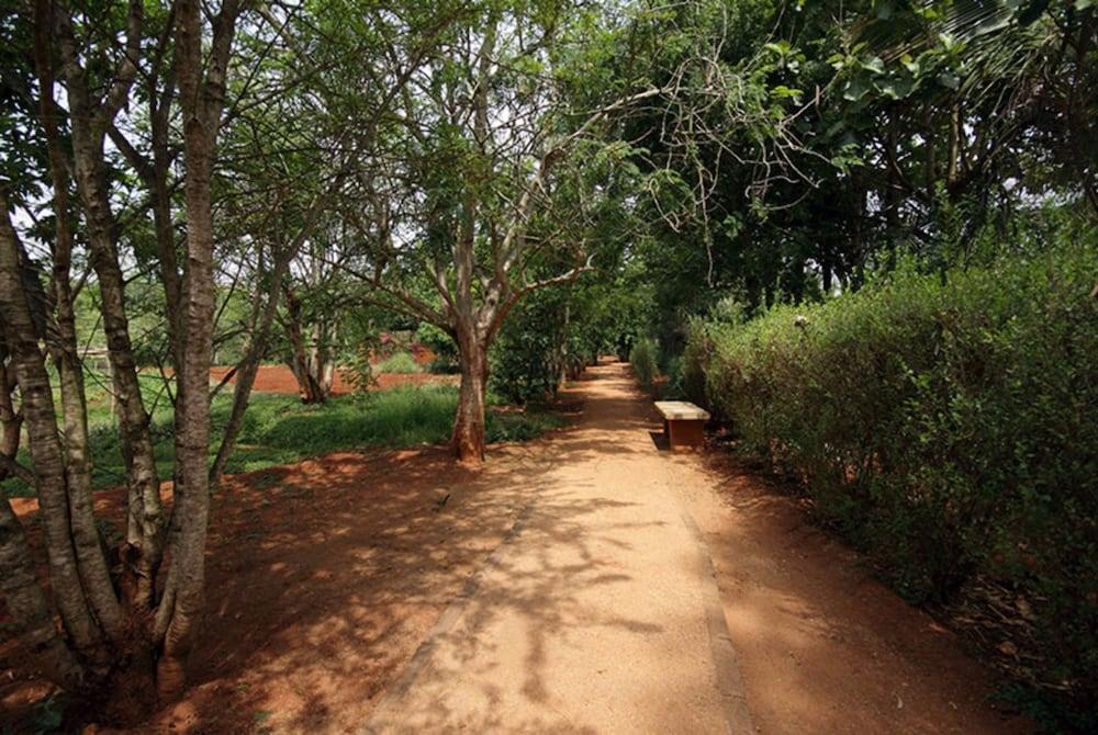 sembo-389722-c87d75-872528 Shreyas Retreat