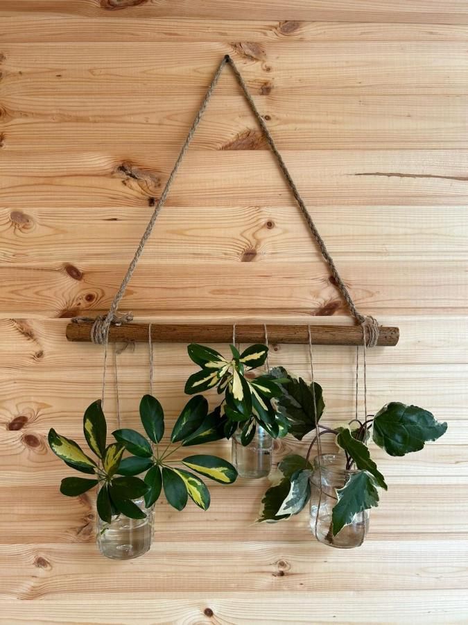 Skydoorცისკარი