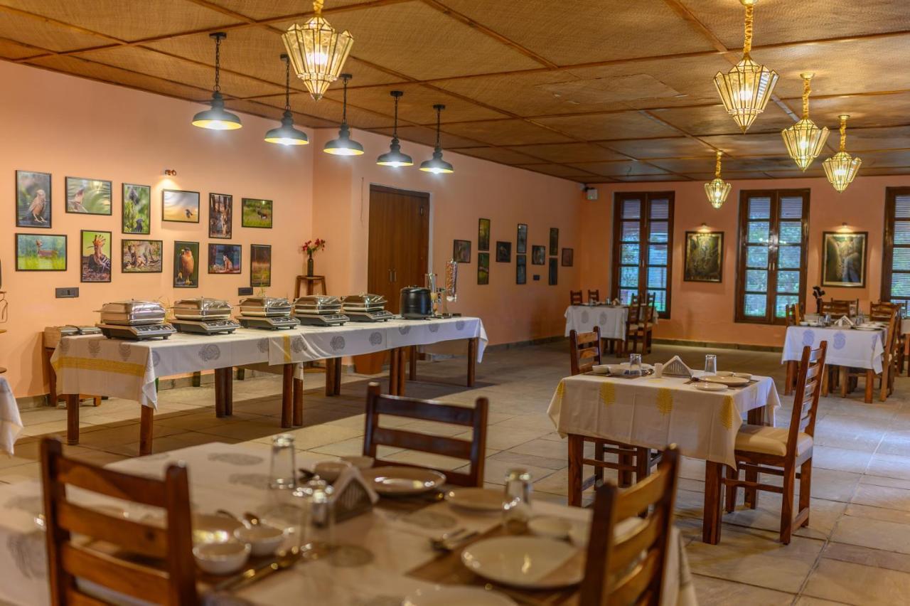 booking-1072273823-637336454-219585 The Beehad Sariska