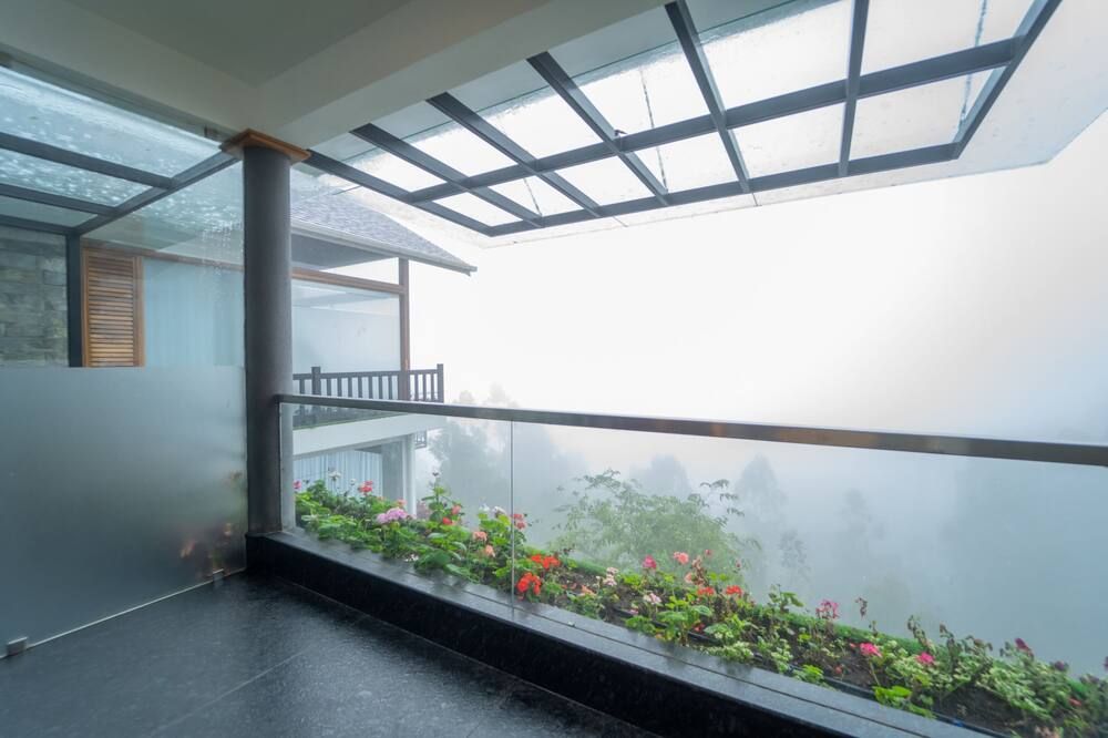 Chandys Drizzle Drops