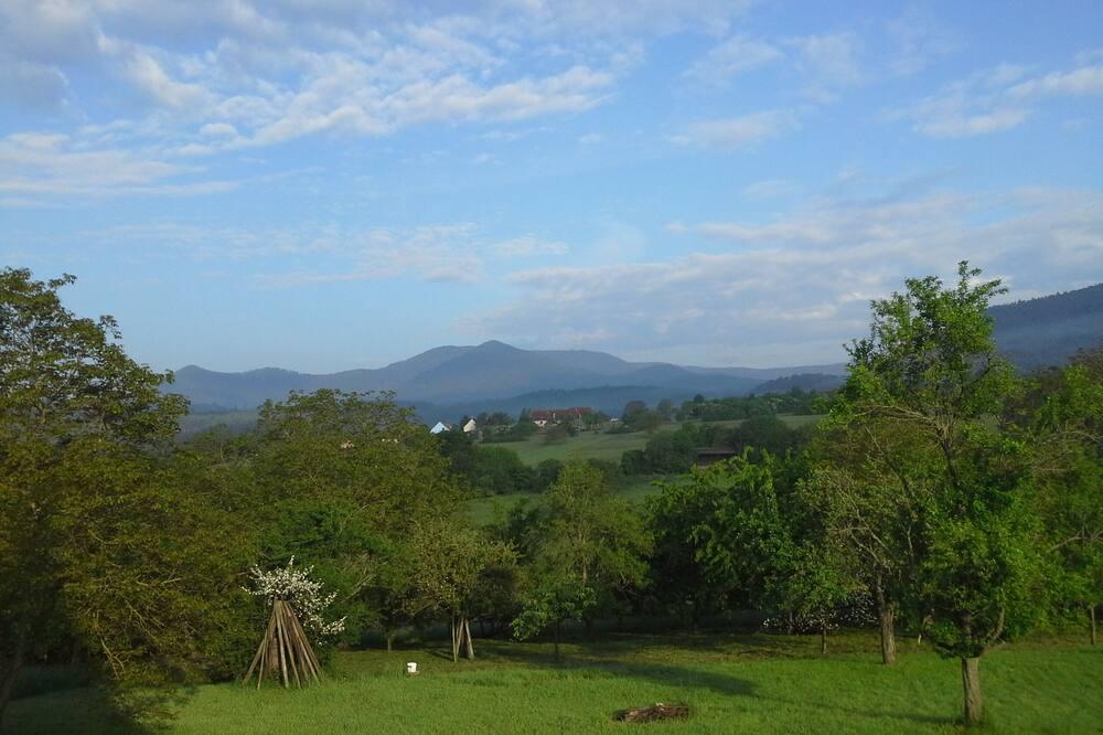 Comfortable lodging in the heart of Alsace Elzas - Oberhaslach visuel 2/5 Comfortable lodging in the heart of Alsace Elzas - Oberhaslach visuel 2/5