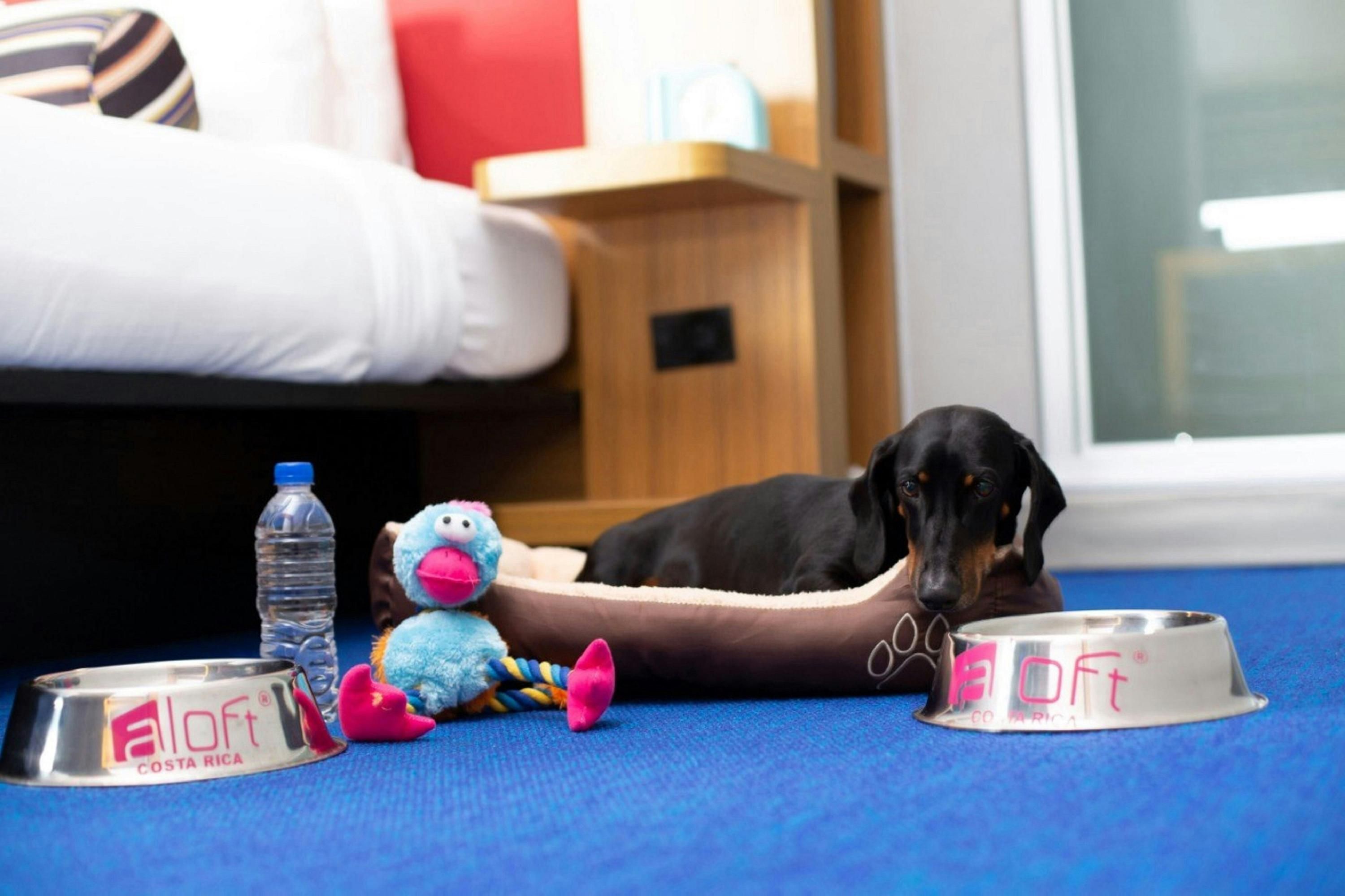 Aloft San Jose Hotel, Costa Rica