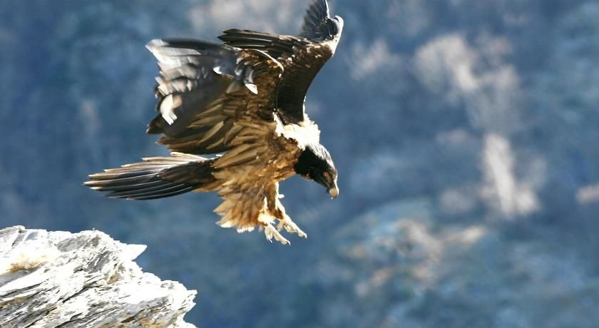 Hôtel La Grange Aux Marmottes