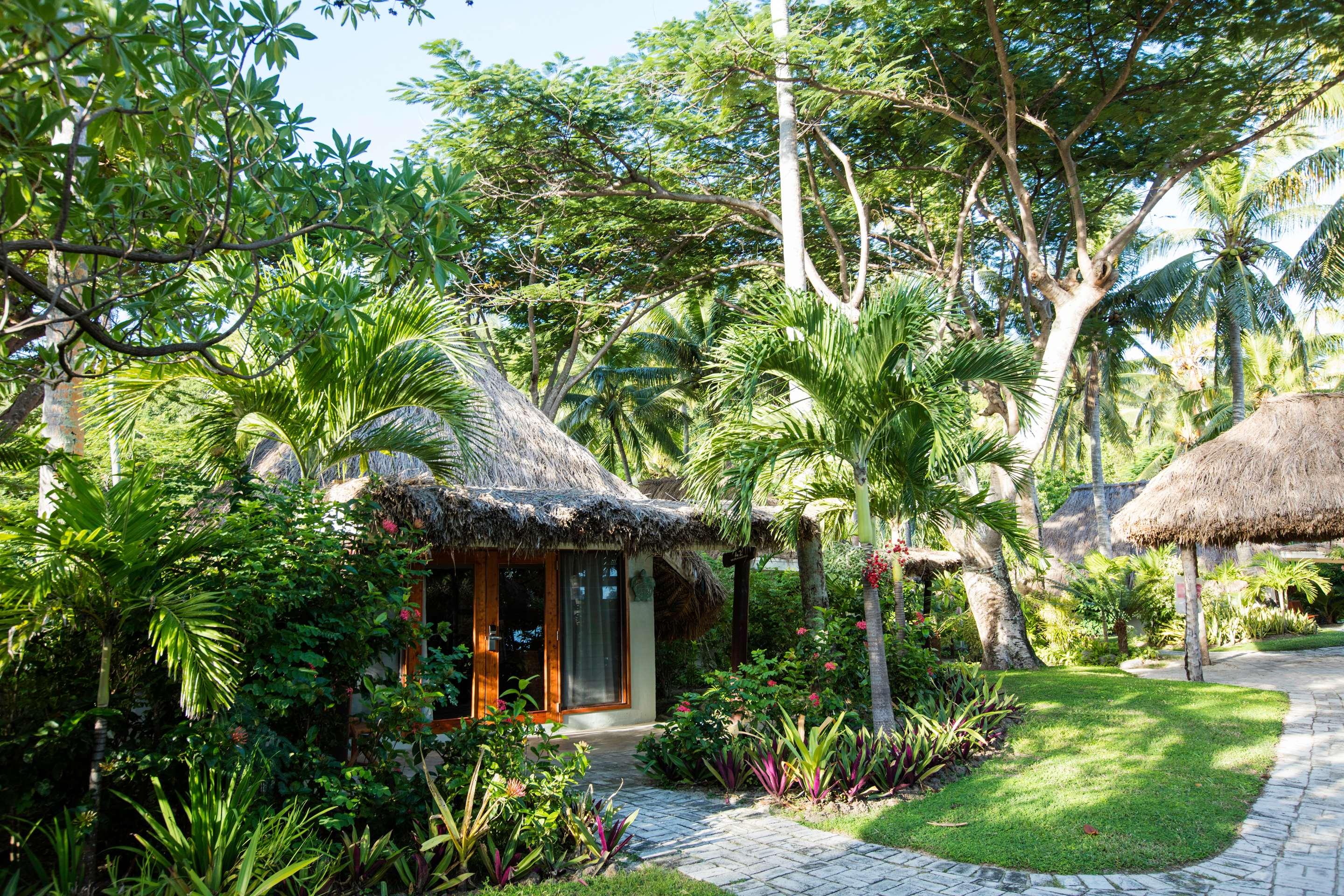 ice-178714-99445008-526025 Castaway Island, Fiji