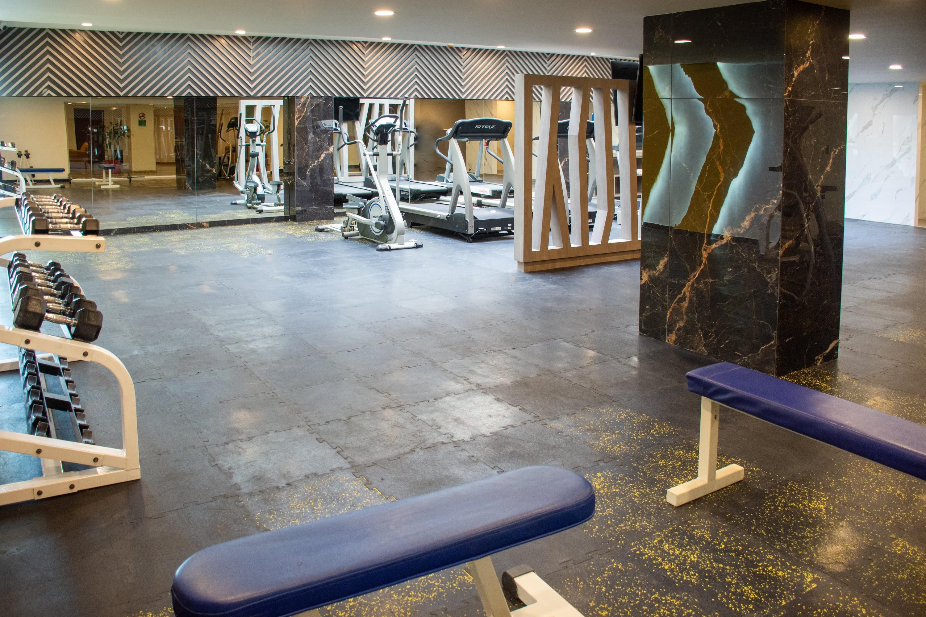 Holiday Inn Mexico City - Trade Center by IHG