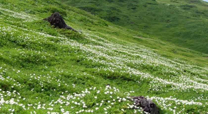 Kyukamura Nyuto-Onsenkyo