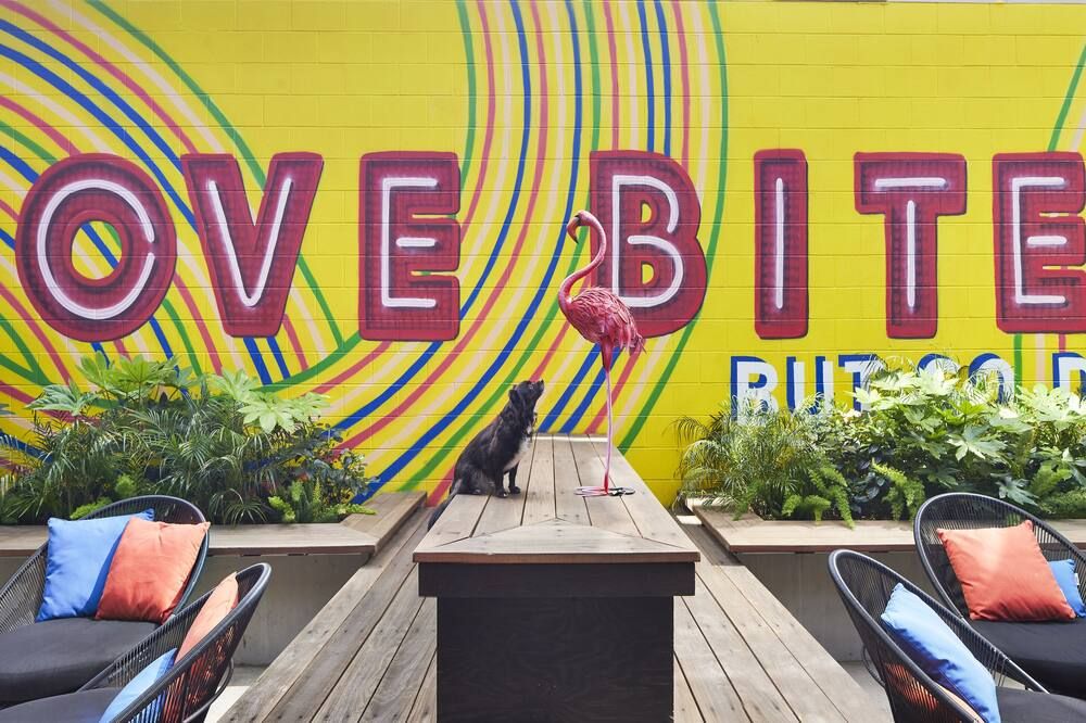 Moxy Austin - University