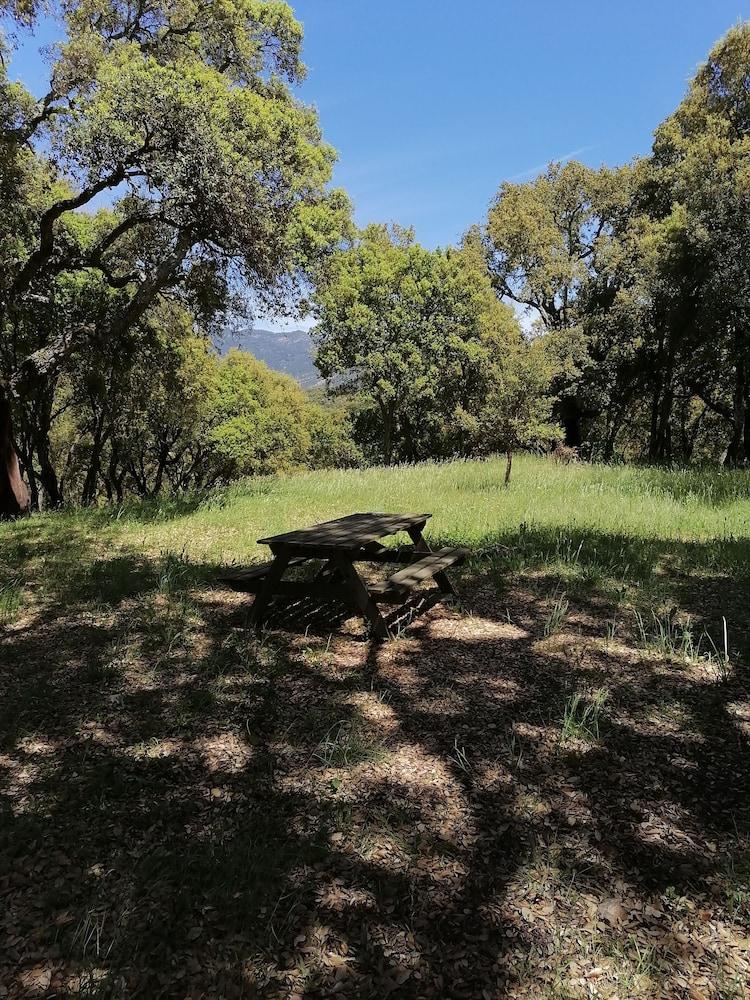 Gite Prunelli au Calme Avec Piscine Corsica - Ucciani visuel 1/5