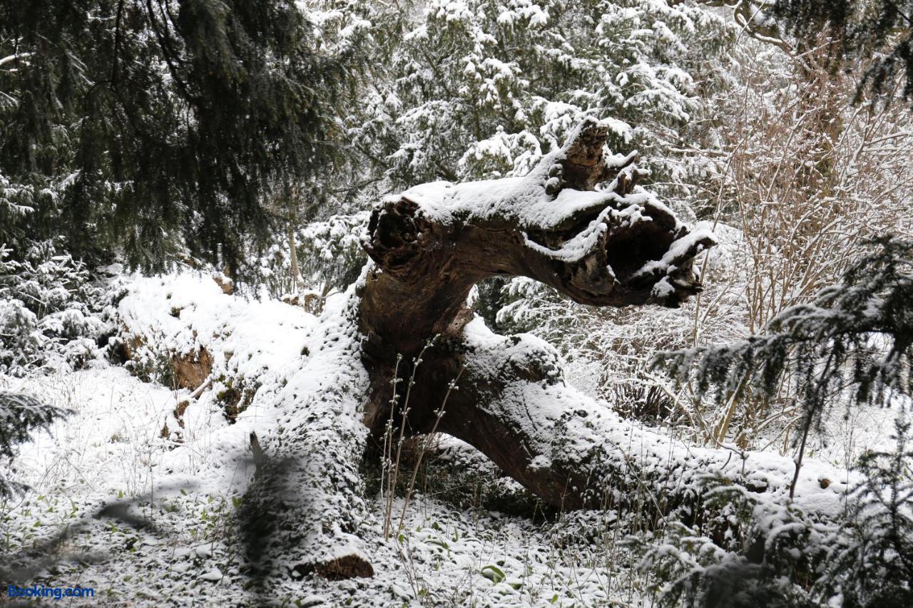 booking-555360-428518979-139856 Schloss Schönau