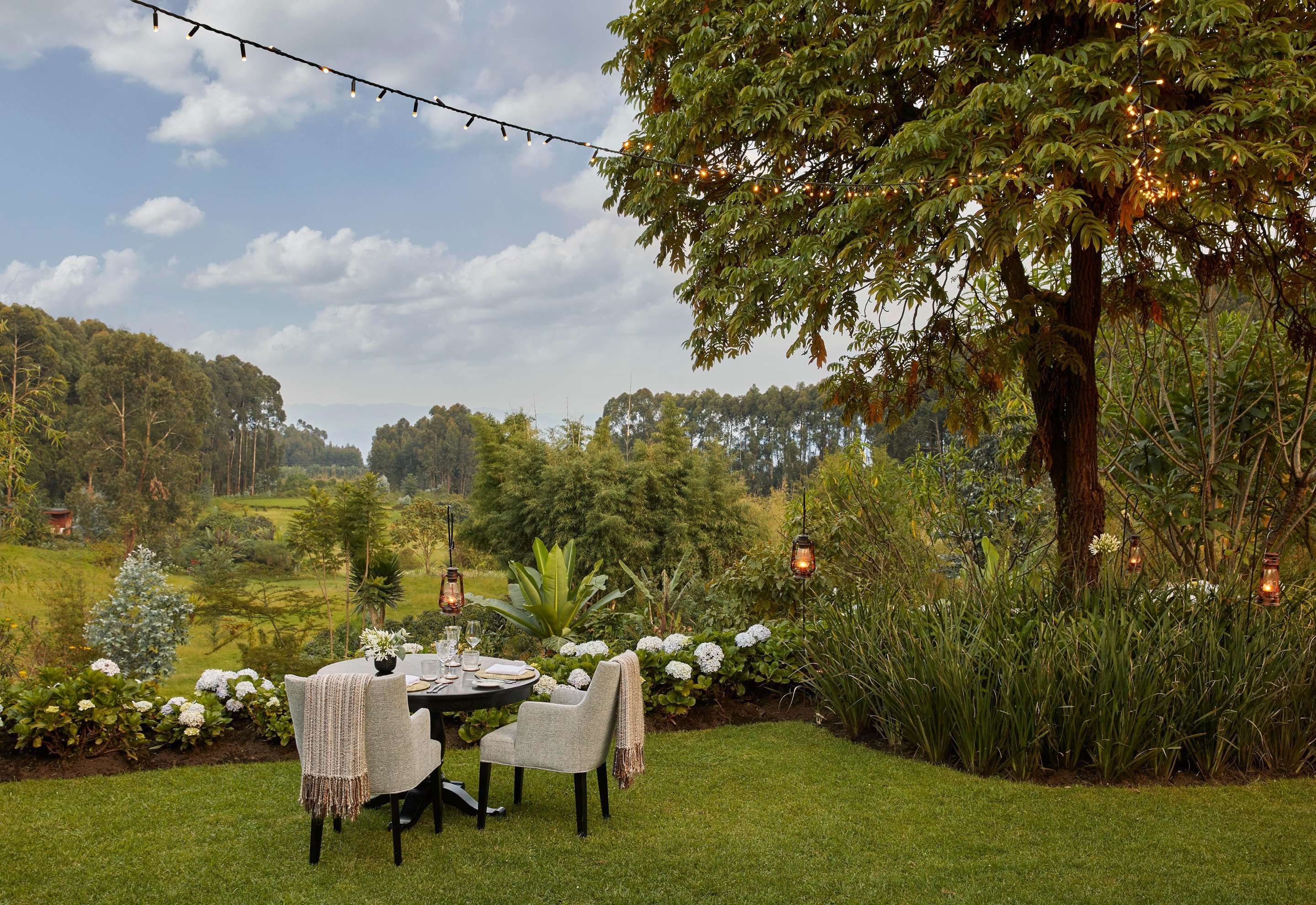 One&Only Gorilla's Nest