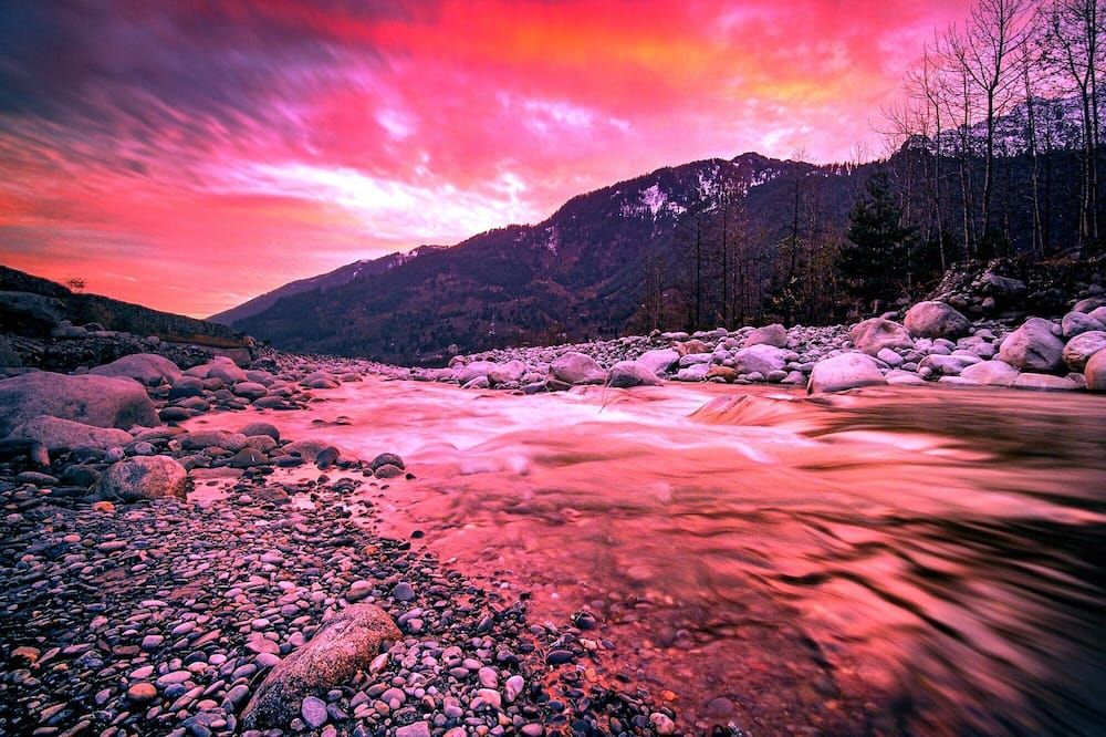 The Allure Grand Resort -A Majestic Riverside Retreat