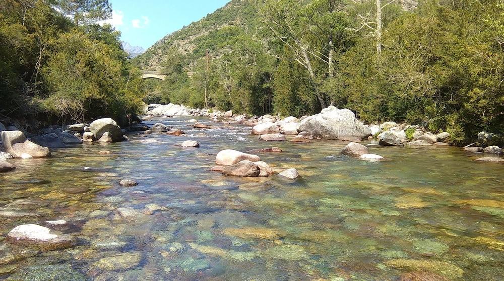 Villa F3 with pool and pizzeria open all year Corsica - Moltifao visuel 1/5