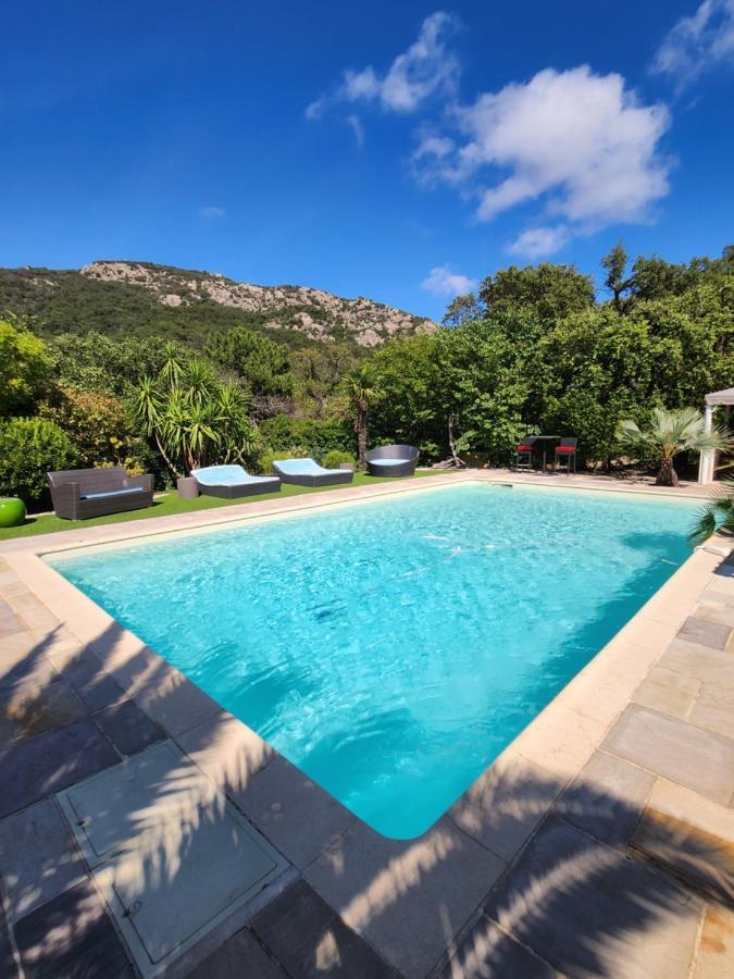 Demeure raffinée et exceptionnelle dans un cadre de vacances idéal à l'ombre des pins parasols Provence-Alpes-Côte d'Azur - Plan-de-la-Tour visuel 4/5 Demeure raffinée et exceptionnelle dans un cadre de vacances idéal à l'ombre des pins parasols Provence-Alpes-Côte d'Azur - Plan-de-la-Tour visuel 4/5