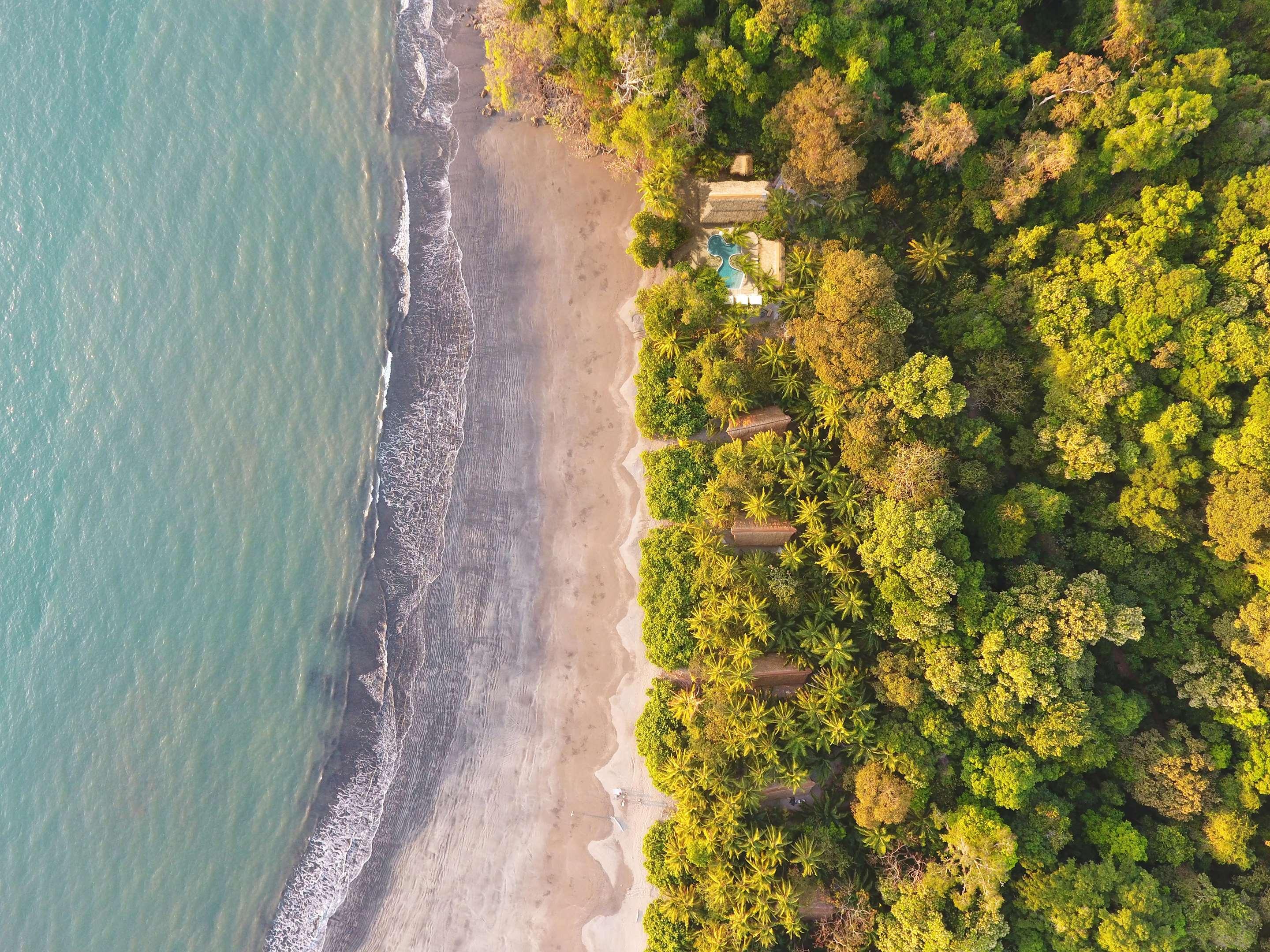 ice-2051244-b1eaf3-942948 Isla Palenque