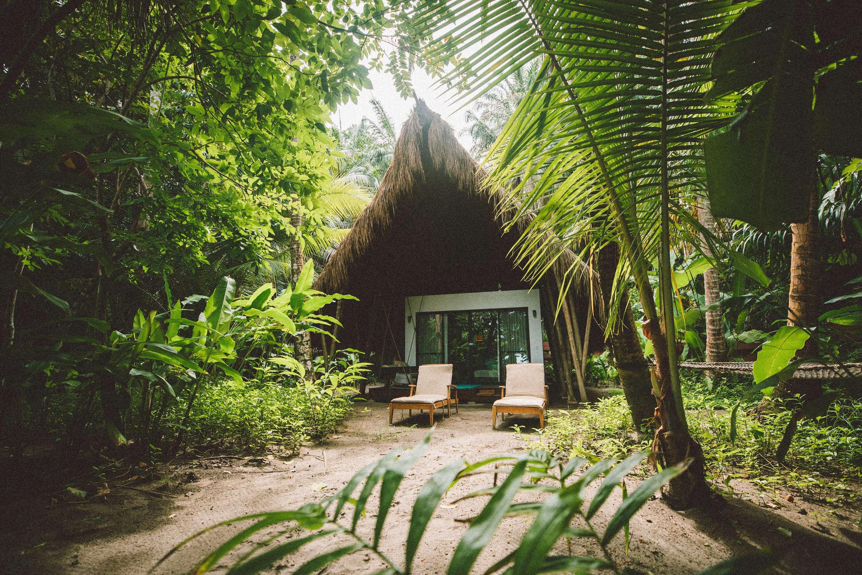 ice-2051244-291227-808452 Isla Palenque