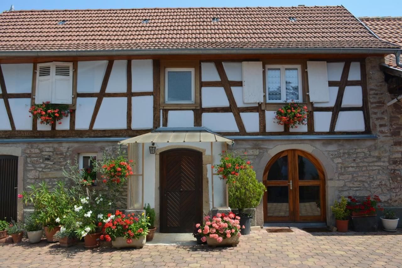 Location Alice Alsace - Ottrott visuel 5/5