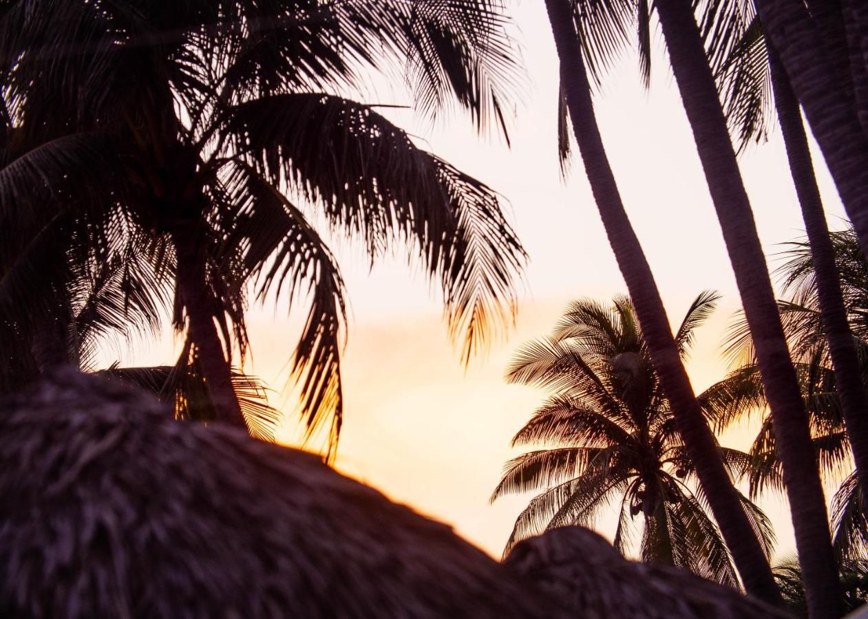 Almare Zonte - Beachfront Glamping Hotel