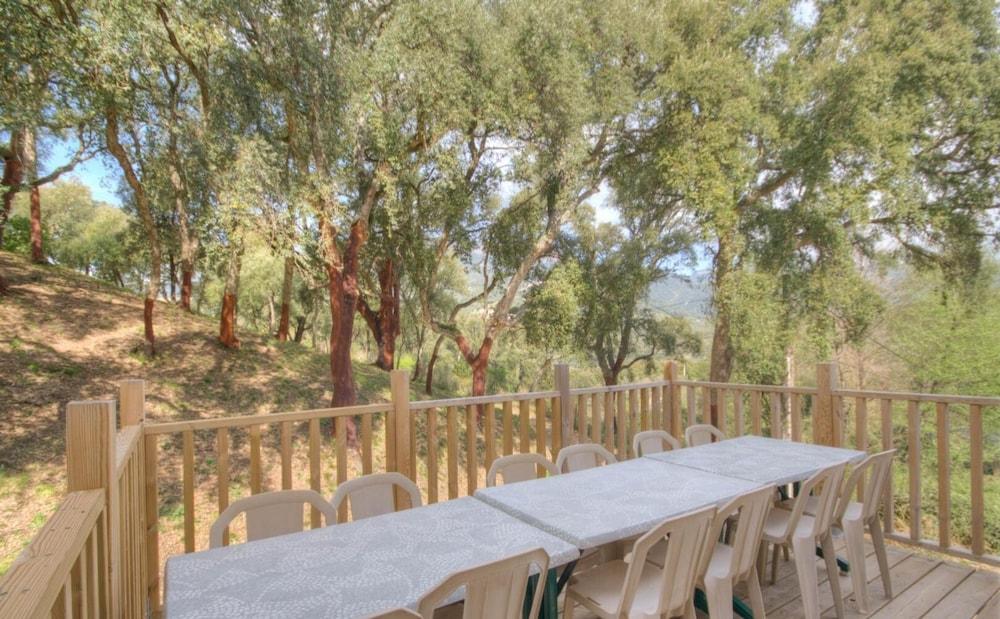 Quiet Gravona gîte with heated swimming pool Corsica - Ucciani visuel 3/5