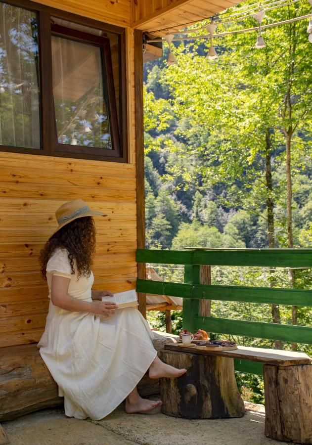 Skydoorცისკარი