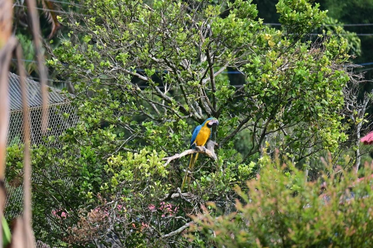 Hotel Cafetero Valparaíso