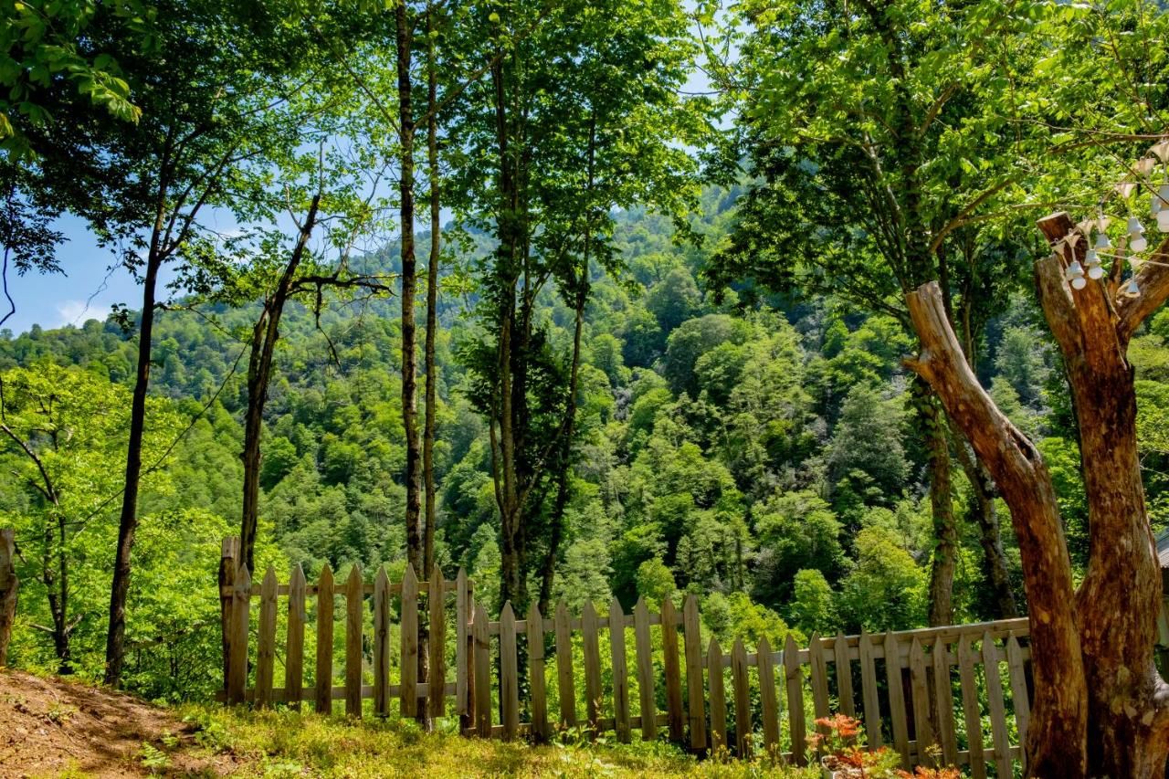 Skydoorცისკარი