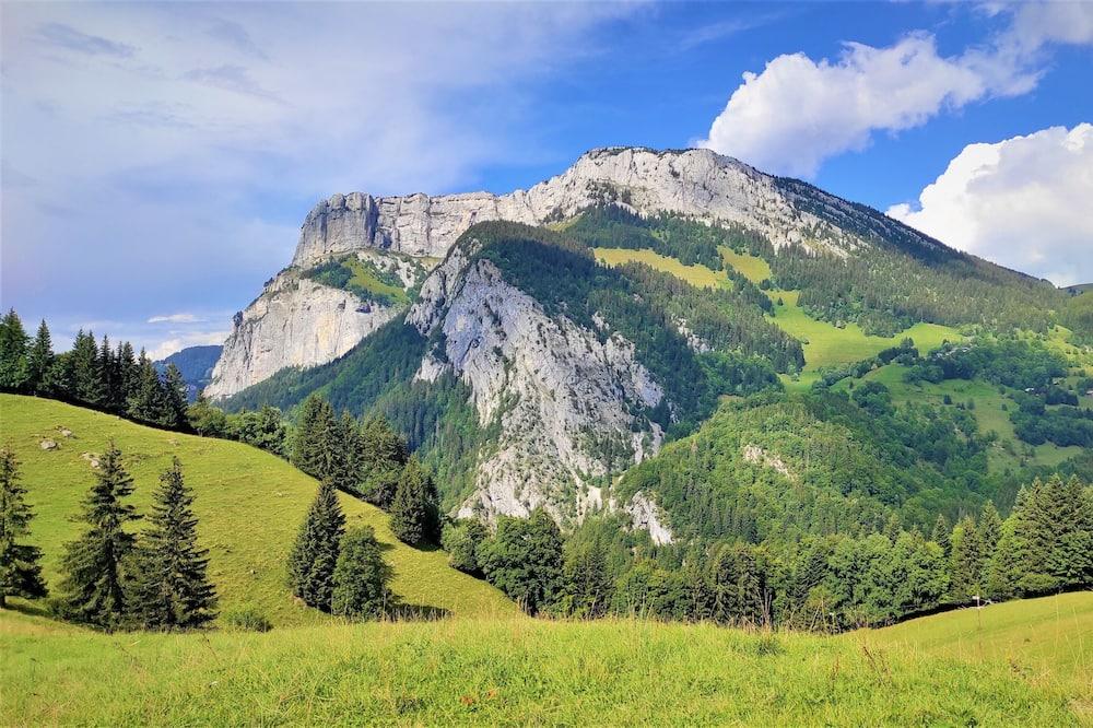 New 4-person Savoyard half-chalet in the mountains Rhône-Alpes - Thorens-Glières visuel 3/5 New 4-person Savoyard half-chalet in the mountains Rhône-Alpes - Thorens-Glières visuel 3/5
