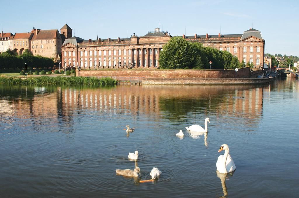 Meublé Le Coin Tranquille Alsace - Saverne visuel 2/5