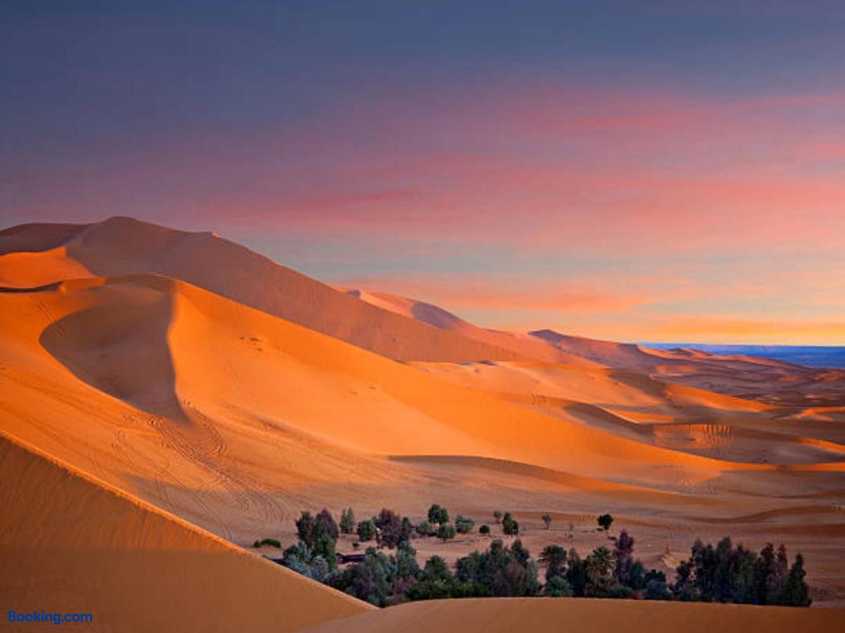 booking-1072059223-464126809-790102 Desert Paradise Luxury Camp