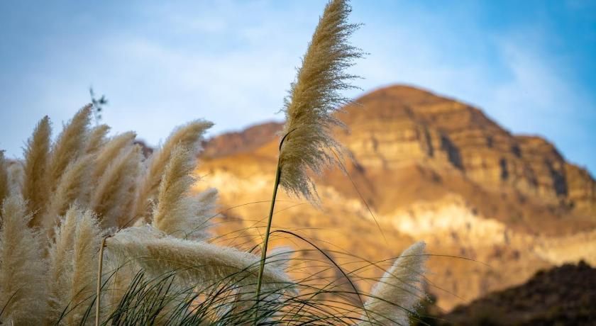 Hotel Altiplanico Cajón del Maipo