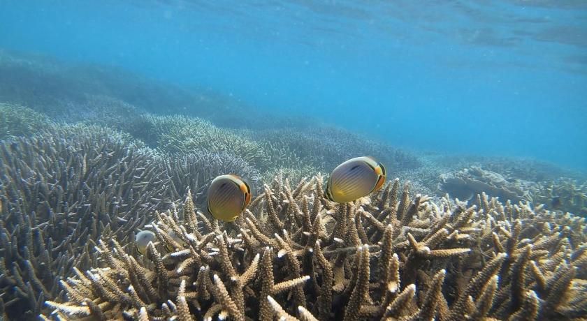 Janas Blue Water Corner