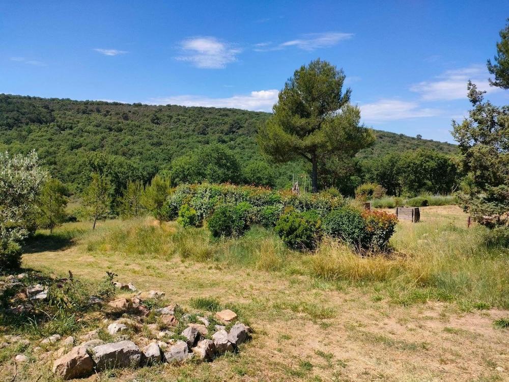 La Cigale Provence-Alpes-Côte d'Azur - Artignosc-sur-Verdon visuel 2/5 La Cigale Provence-Alpes-Côte d'Azur - Artignosc-sur-Verdon visuel 2/5