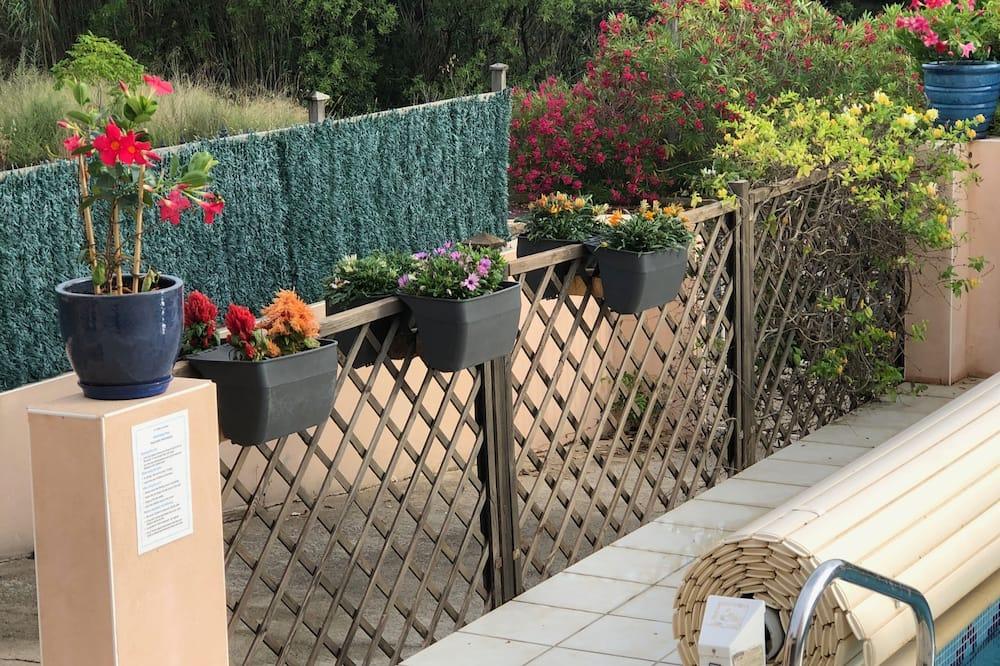 Pézenas Villa. 25-35% Off Sept. Aircon In Bedrooms, Private Pool, Walk To Town Languedoc-Roussillon - Pezenas visuel 1/5 Pézenas Villa. 25-35% Off Sept. Aircon In Bedrooms, Private Pool, Walk To Town Languedoc-Roussillon - Pezenas visuel 1/5