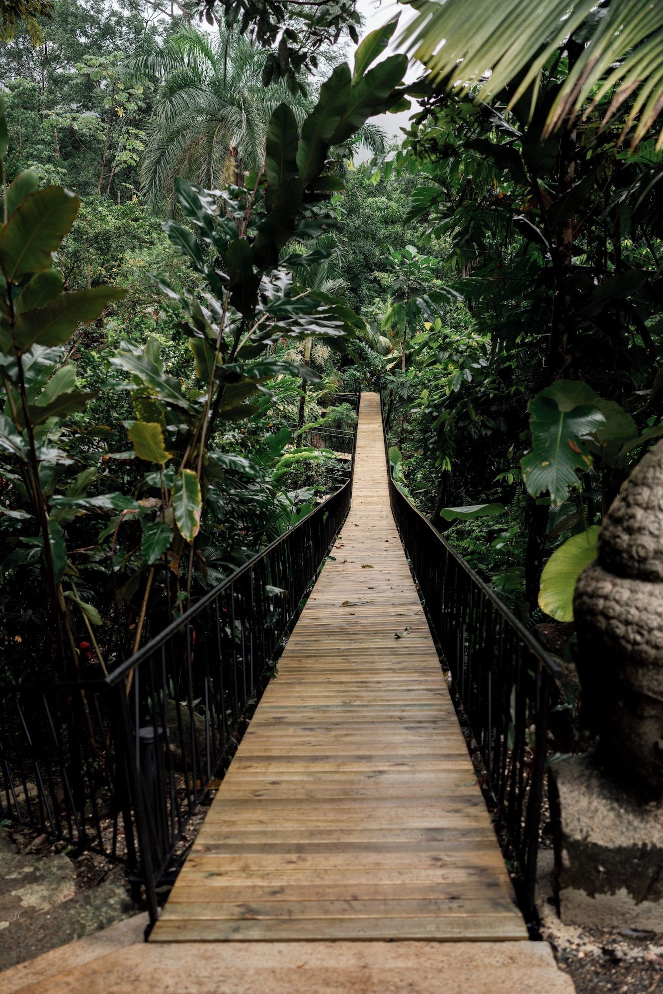 Oxygen Jungle Villas & Spa