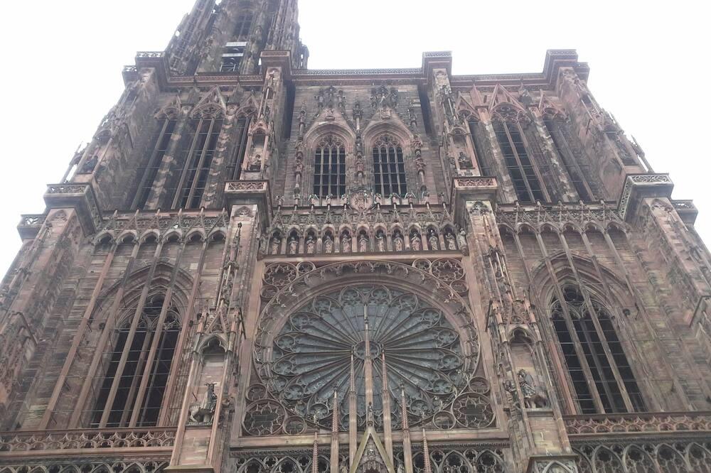 Comfortable lodging in the heart of Alsace Elzas - Oberhaslach visuel 5/5 Comfortable lodging in the heart of Alsace Elzas - Oberhaslach visuel 5/5