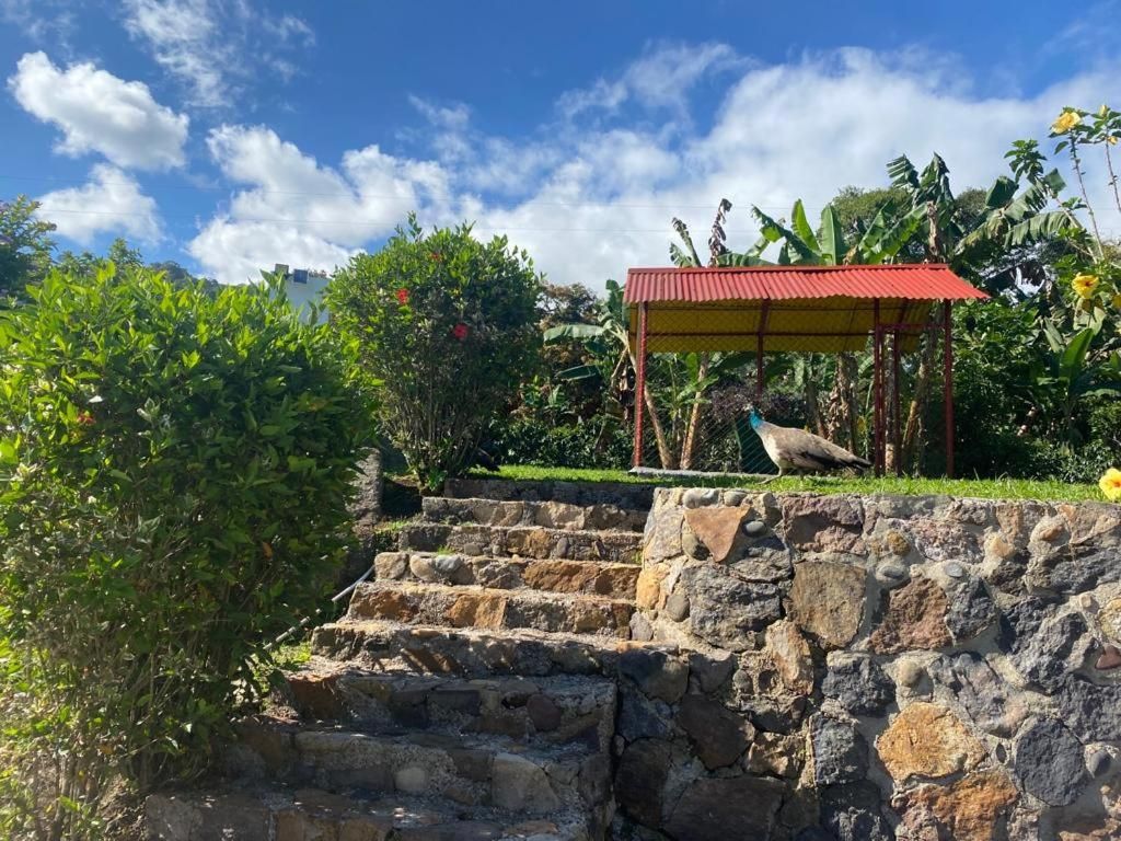 Hotel Cafetero Valparaíso