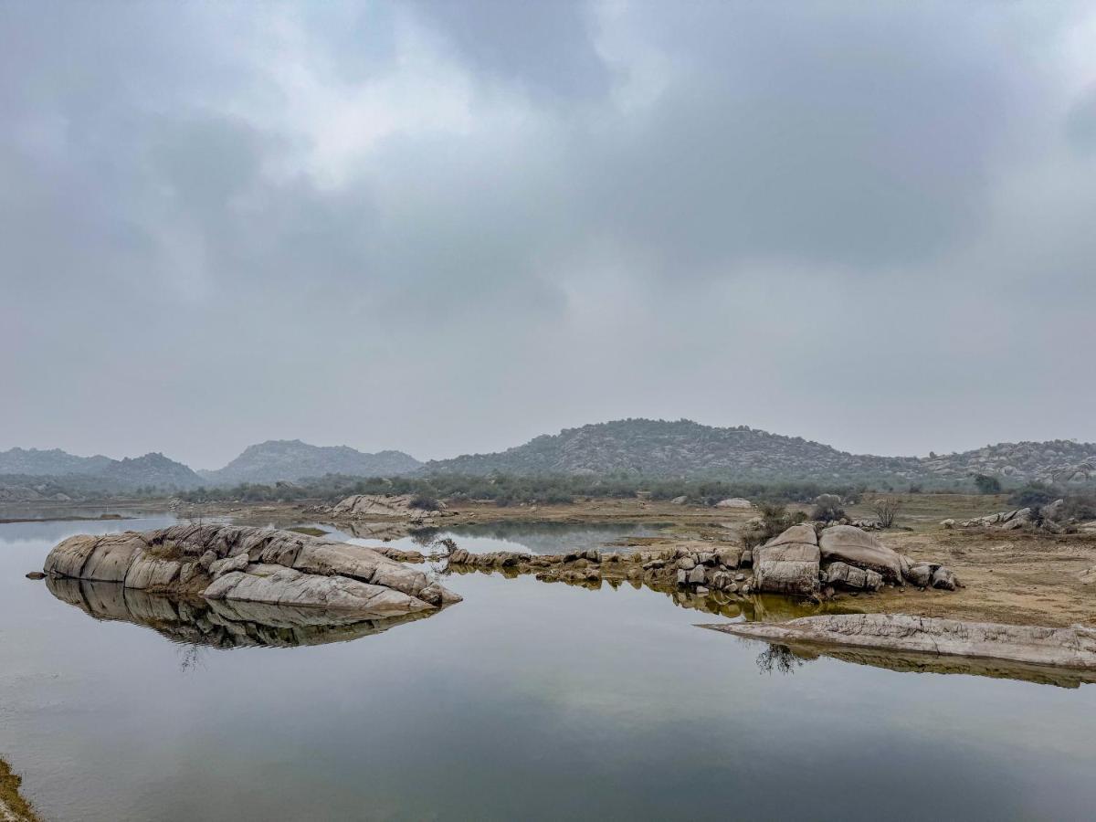 booking-1072273823-637335705-090549 The Beehad Sariska