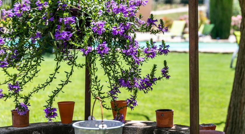 Mas Saint Julien Provence-Alpes-Côte d'Azur - Cavaillon visuel 1/5