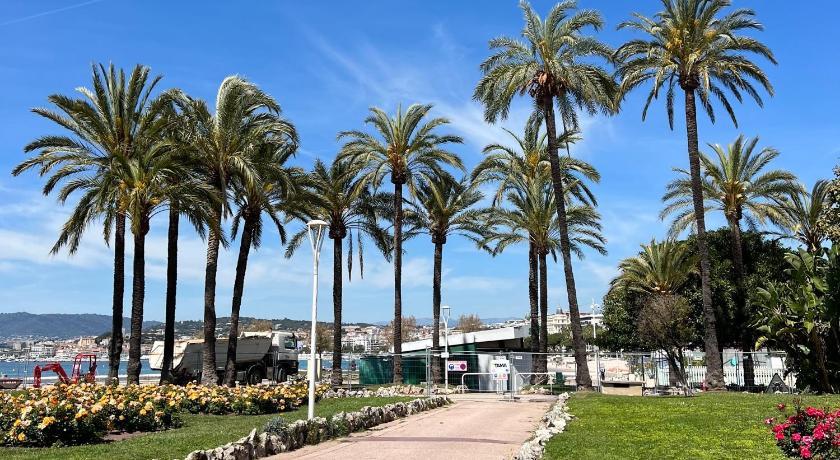 Sci Camille Provence-Alpes-Côte d'Azur - Cannes visuel 3/5