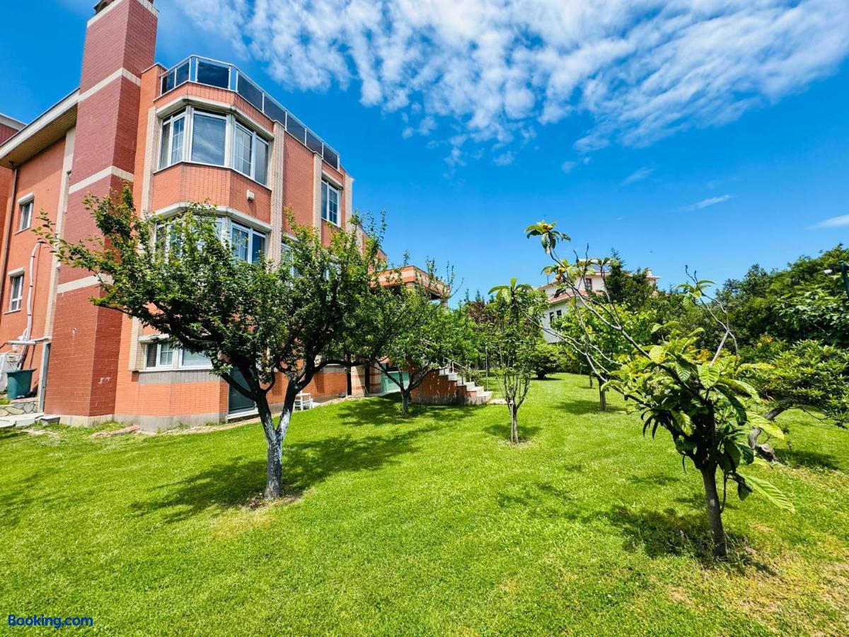 booking-1071604422-557799340-811412 Treekos Suite Hotel Istanbul Airport