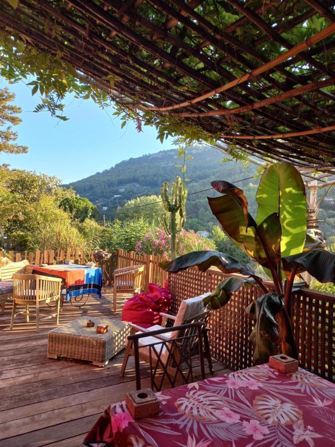 Un coin d'Asie en Provence Provence-Alpes-Côte d'Azur - Belgentier visuel 5/5 Un coin d'Asie en Provence Provence-Alpes-Côte d'Azur - Belgentier visuel 5/5