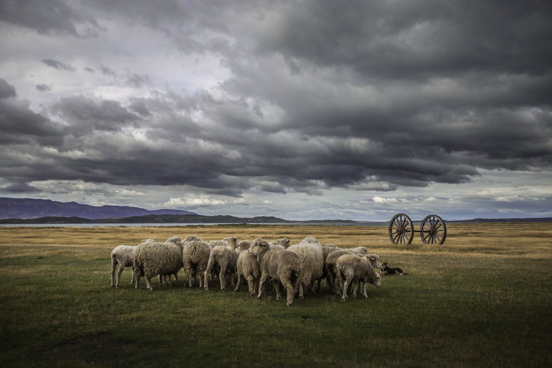 The Singular Patagonia