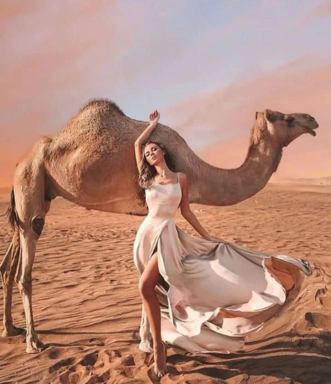 Merzouga Top Luxury Camp