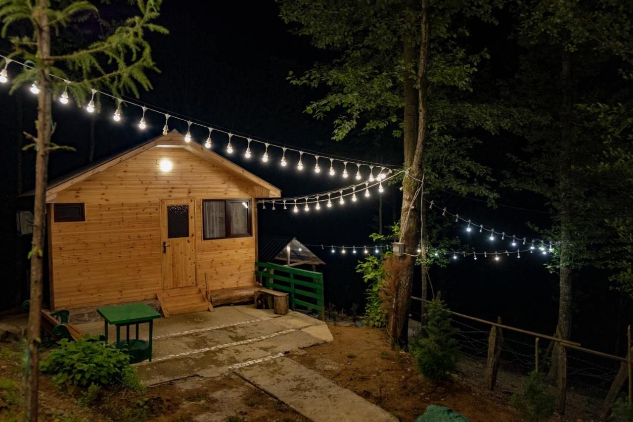 Skydoorცისკარი