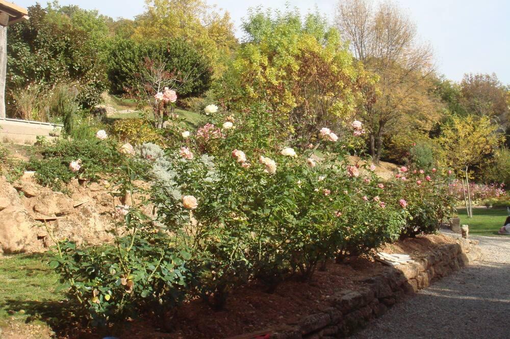 Comfortable 4-person cottage for pets Languedoc-Roussillon - Soubès visuel 1/5 Comfortable 4-person cottage for pets Languedoc-Roussillon - Soubès visuel 1/5