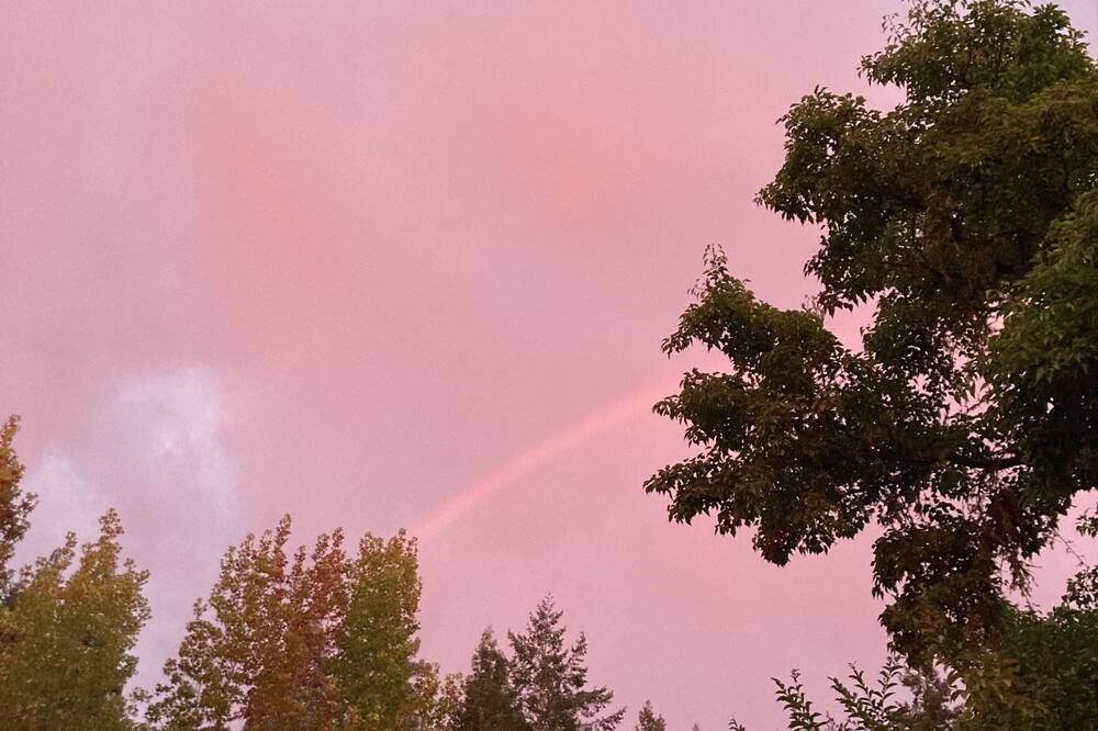 The Stavrand Russian River Valley