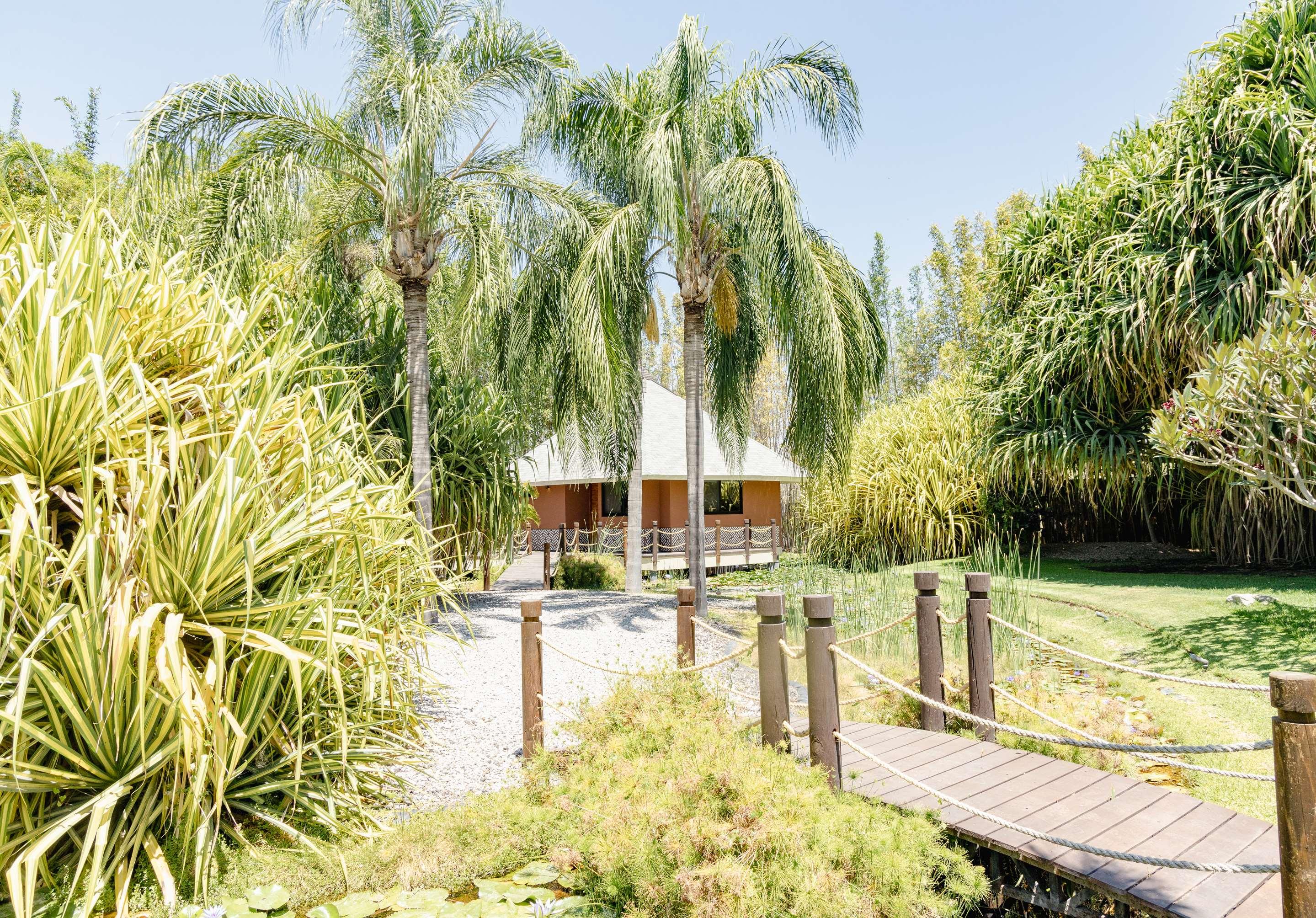ice-2767994-5ba188-636411 Soul Spring Sanctuary