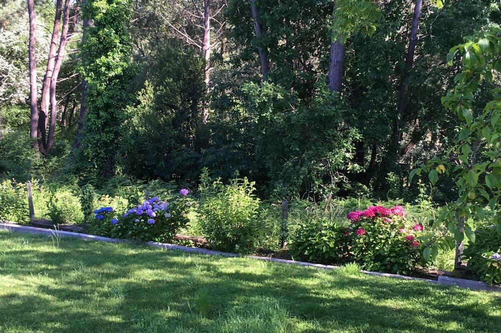 Lovely, traditional and independent basque in a peaceful location Aquitaine - Bidart visuel 3/5